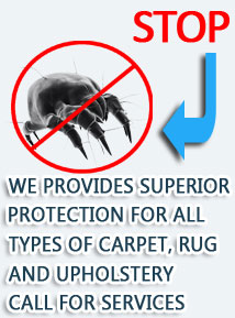 Indoor Air Pollutions
